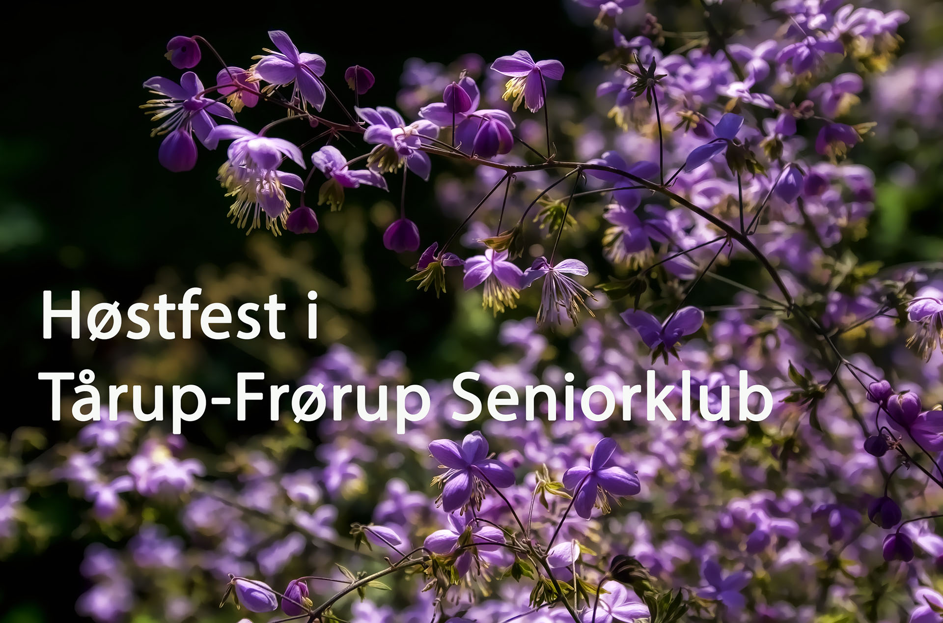 Høstfest i Tårup-Frørup Seniorklub